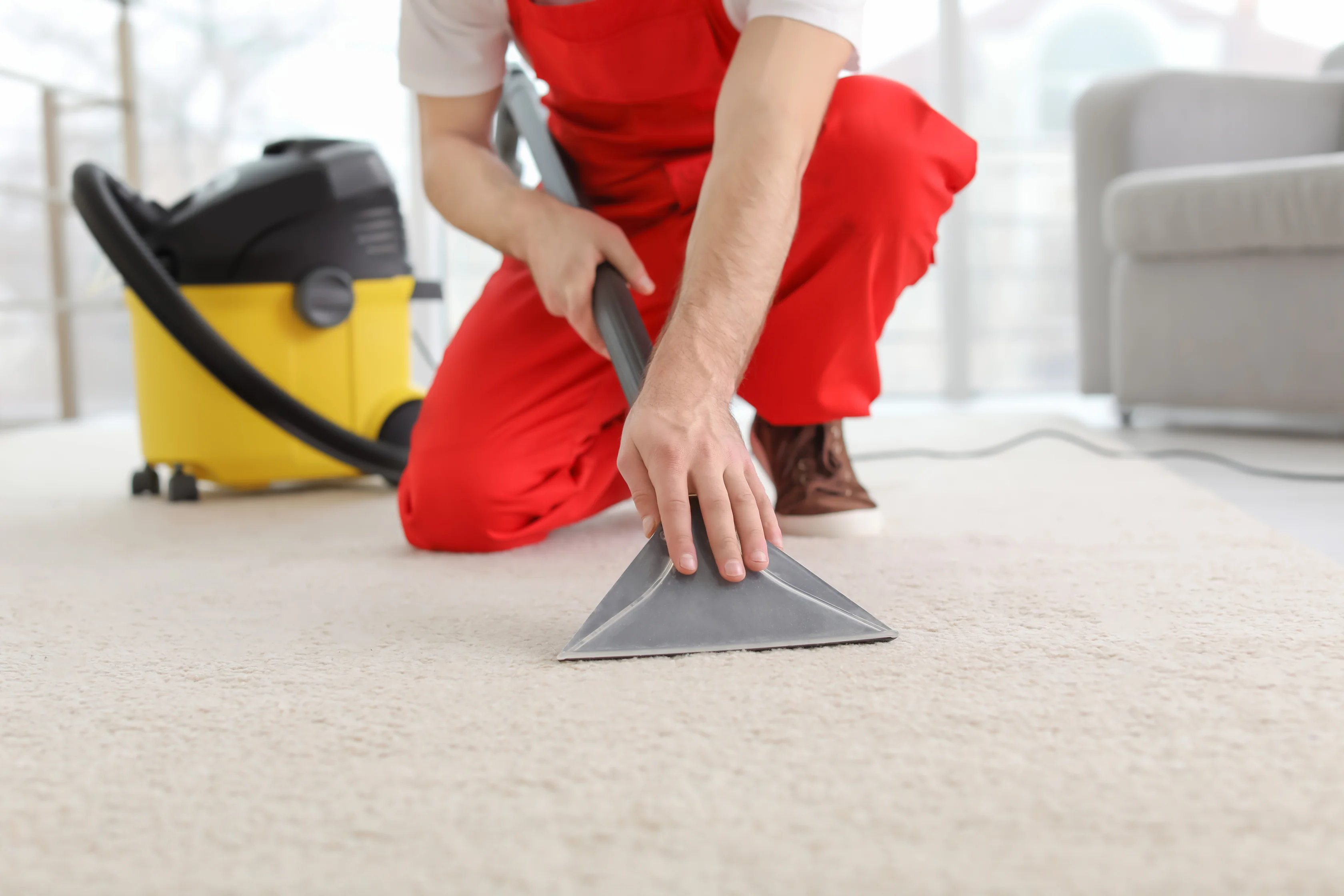 Carpet Care Myths That Cost Homeowners Money