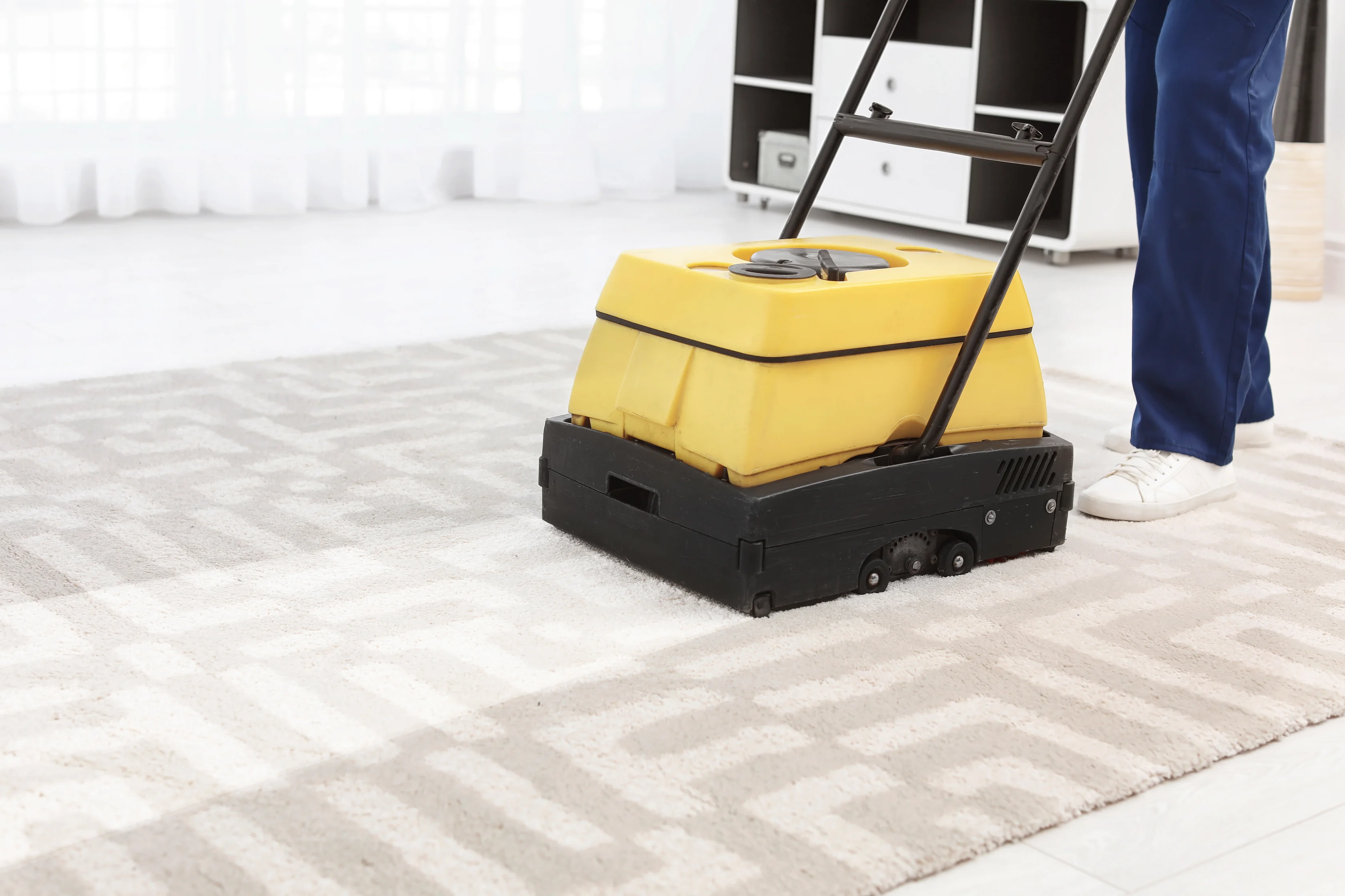 Professional Carpet Washing for a Fresher Home 3