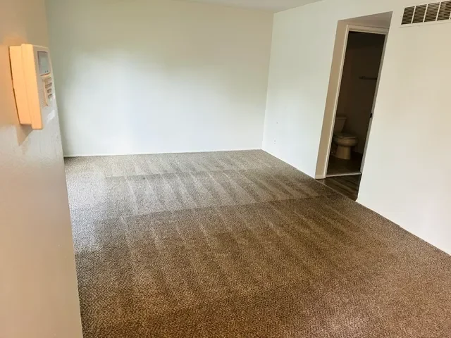 Carpet Washing Service